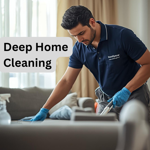 homifycare in pune, home cleaning in pune