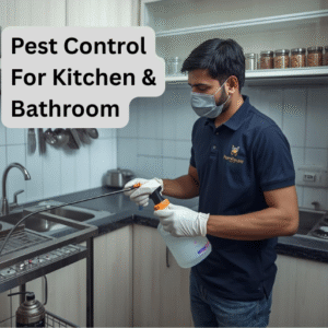 homifycare in pune, pest control in pune