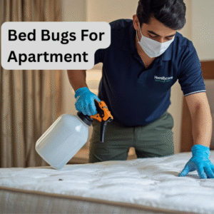 homifycare in pune, home cleaning in pune