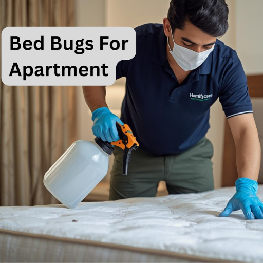 homifycare in pune, home cleaning in pune